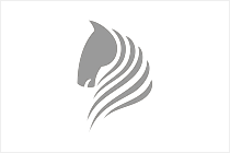 &#21338;&#40060;&#23448;&#26041;&#32593;&#39029;&#29256;&#45;&#21338;&#40060;&#40;&#20013;&#22269;&#41;